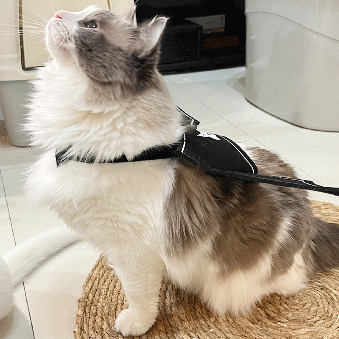 Halloween Pet Bat Wings Costume Adjustable Pet Felt Harness Clothes Halloween Cosplay Party Dress Up Accessory for Cats Image 9