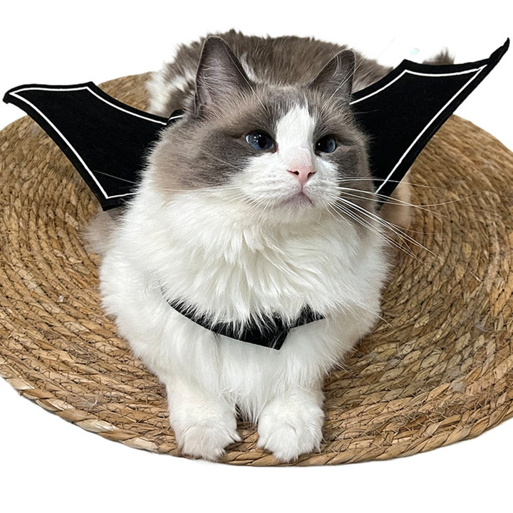 Halloween Pet Bat Wings Costume Adjustable Pet Felt Harness Clothes Halloween Cosplay Party Dress Up Accessory for Cats Image 11