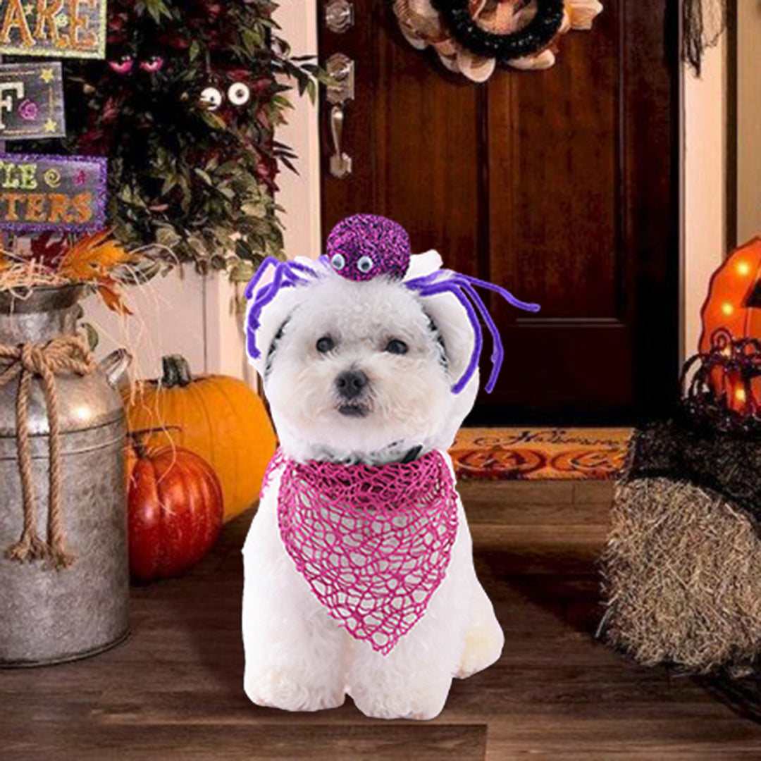 Dog Halloween Hairband Scarf Set Festive Spider Hair Decoration Collar Set Cosplay Costume Pet Accessories for Parties Image 10