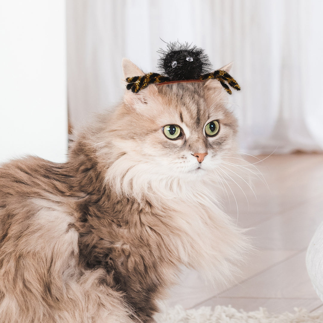 Halloween Pet Headwear Adjustable Spider Hairband Party Hair Hoop Accessory Pet Dress-up Costume Prop for Cats/Dogs Image 6