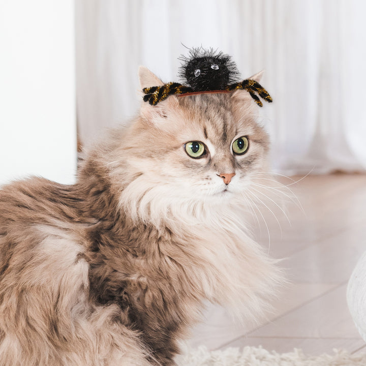 Halloween Pet Headwear Adjustable Spider Hairband Party Hair Hoop Accessory Pet Dress-up Costume Prop for Cats/Dogs Image 6