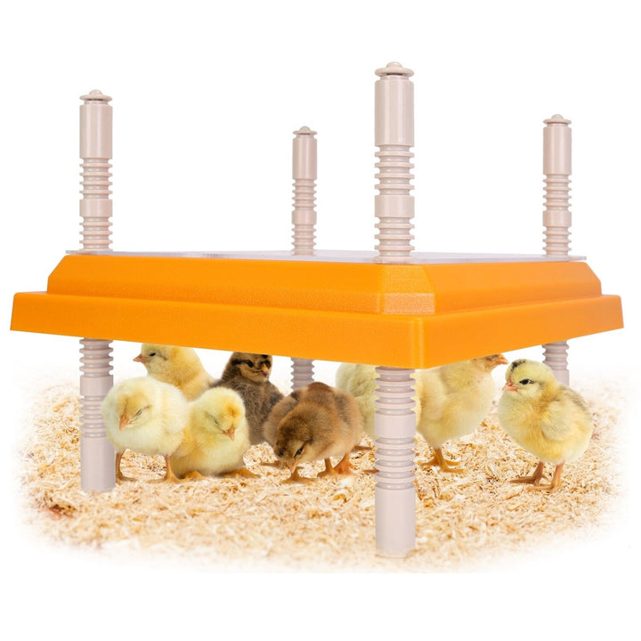 15W Chicken Brooder Heater with Adjustable Height Angle Max 131 Image 1