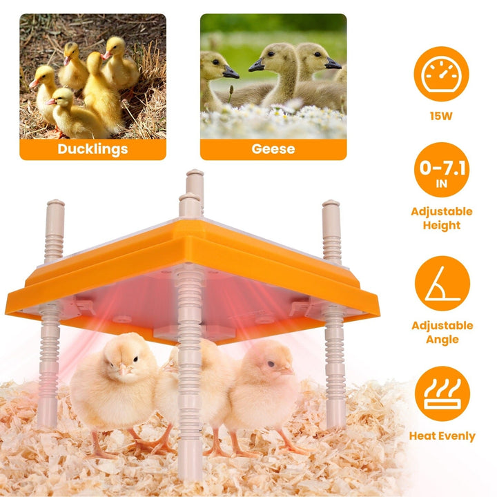 15W Chicken Brooder Heater with Adjustable Height Angle Max 131 Image 4