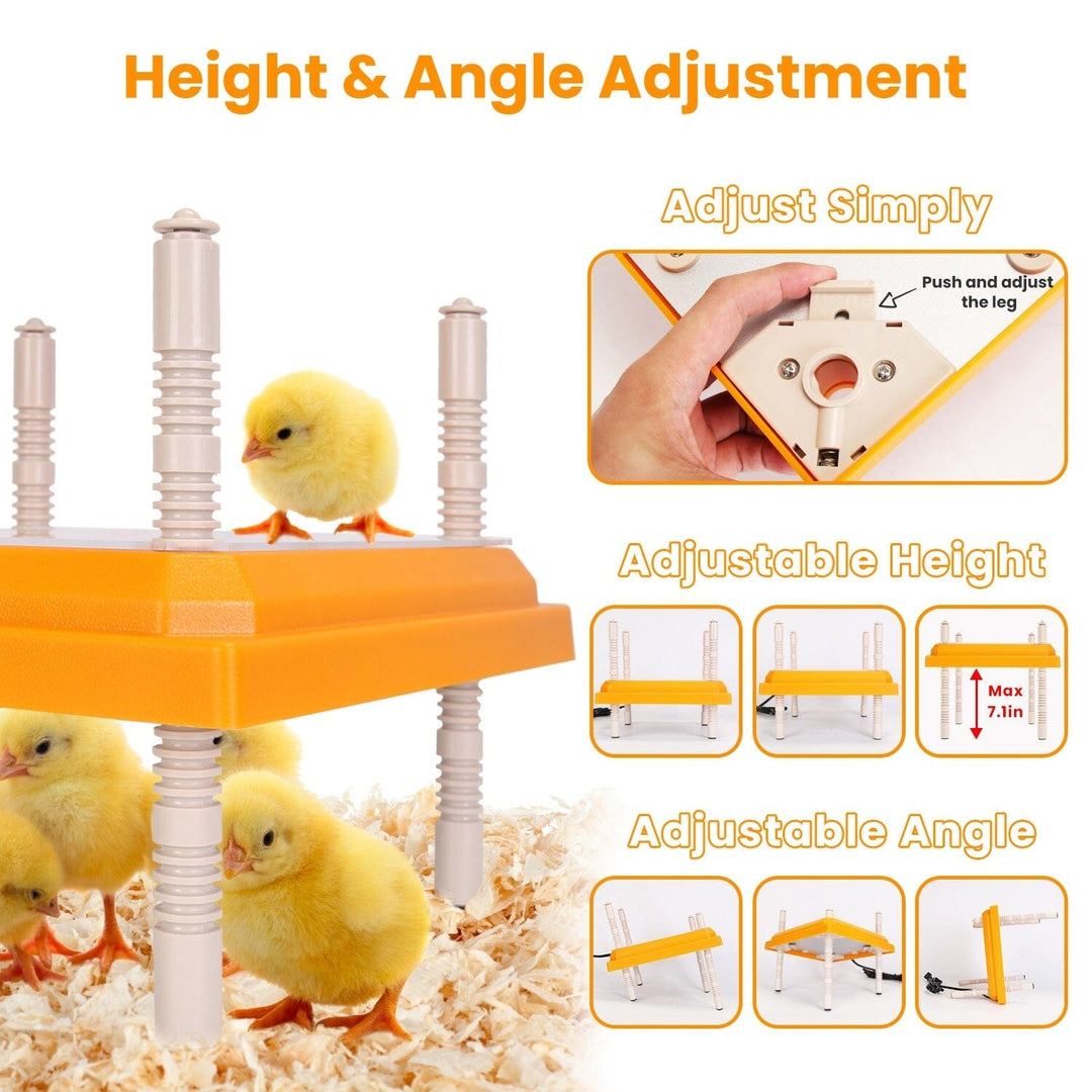 15W Chicken Brooder Heater with Adjustable Height Angle Max 131 Image 4