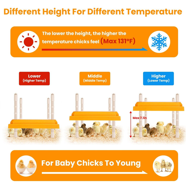 15W Chicken Brooder Heater with Adjustable Height Angle Max 131 Image 6