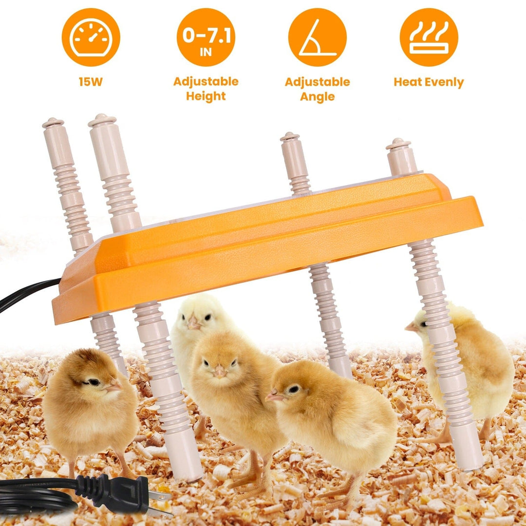 15W Chicken Brooder Heater with Adjustable Height Angle Max 131 Image 8