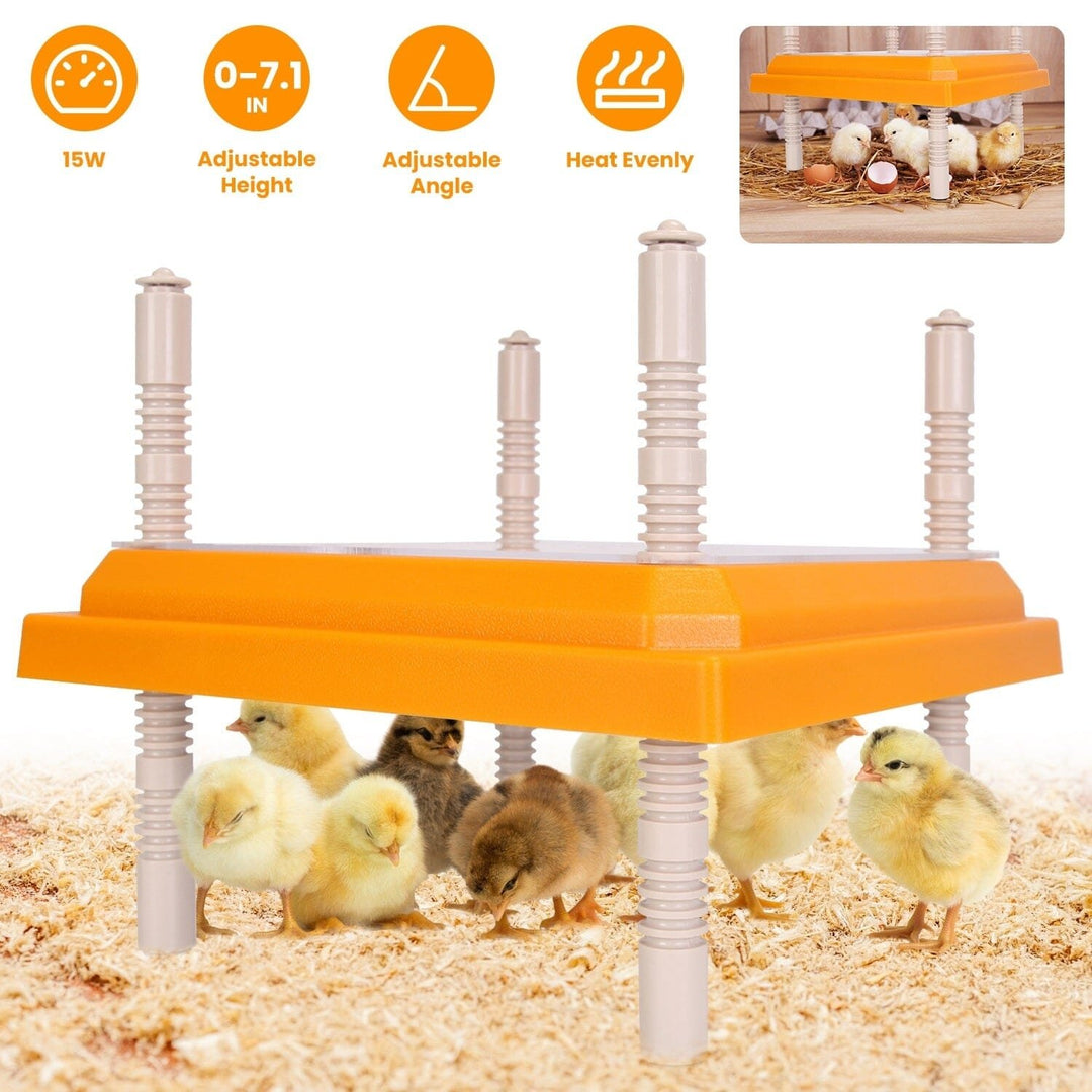 15W Chicken Brooder Heater with Adjustable Height Angle Max 131 Image 9