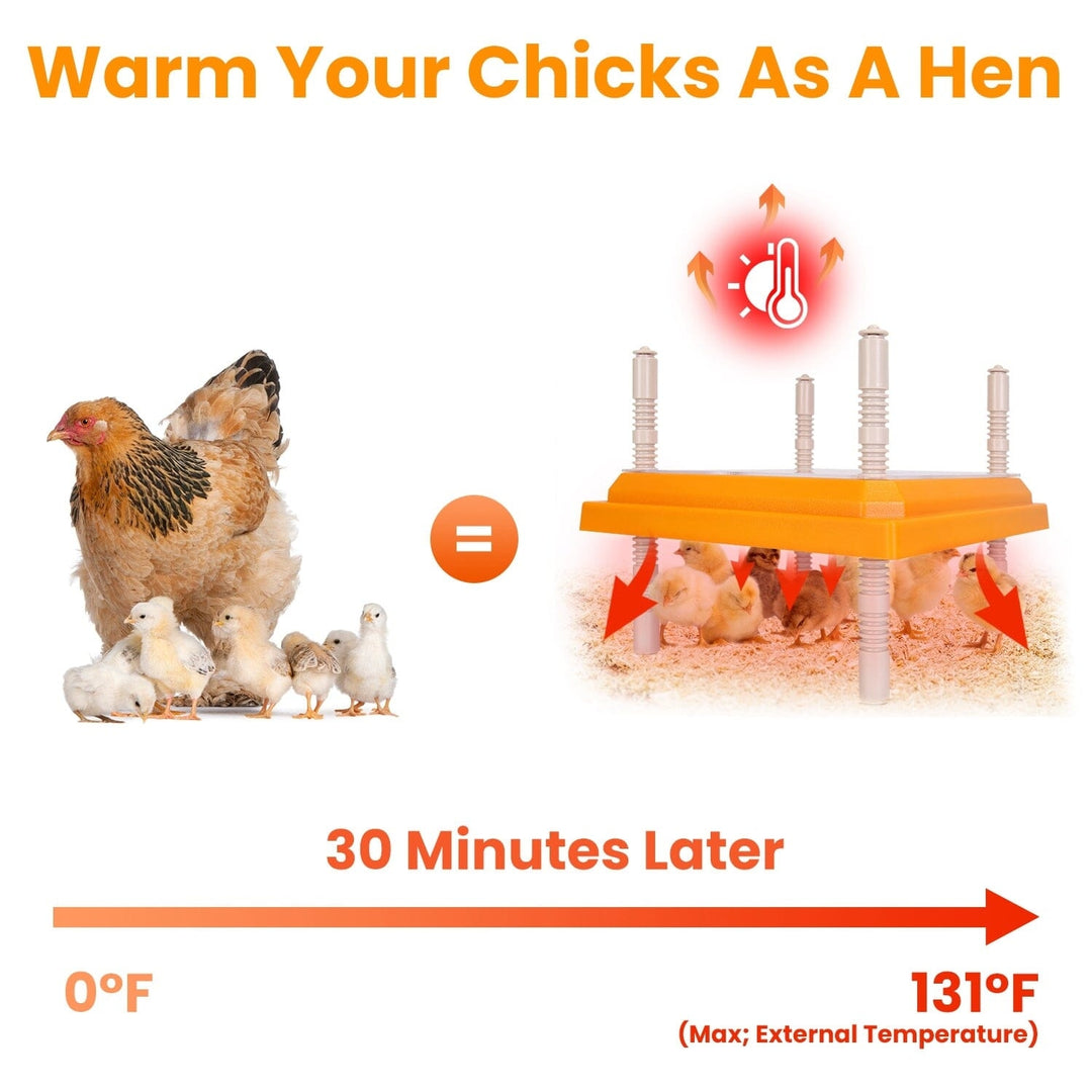 15W Chicken Brooder Heater with Adjustable Height Angle Max 131 Image 10