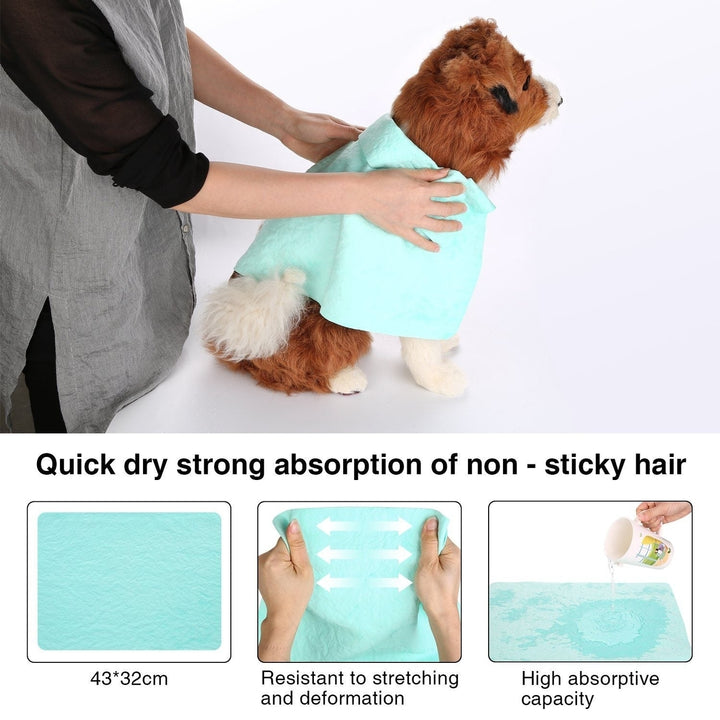 2-in-1 Pet Hair Dryer Blower Slicker Brush Portable Dog Cat Grooming Low Noise Image 7