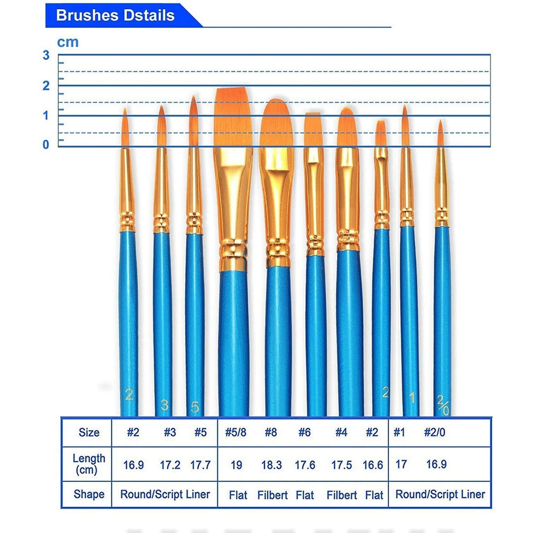 2-Pack: BOSOBO 10 Sizes Paint Brushes Set Image 3