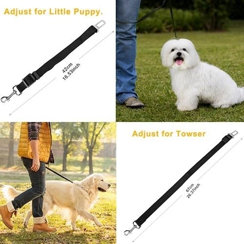 2-Pack: Multipurpose Pet Safety Image 3