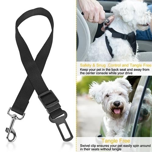 2-Pack: Multipurpose Pet Safety Image 4