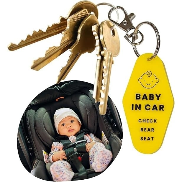 2-Pack: Safe Baby in Car Reminder Keychain Image 6