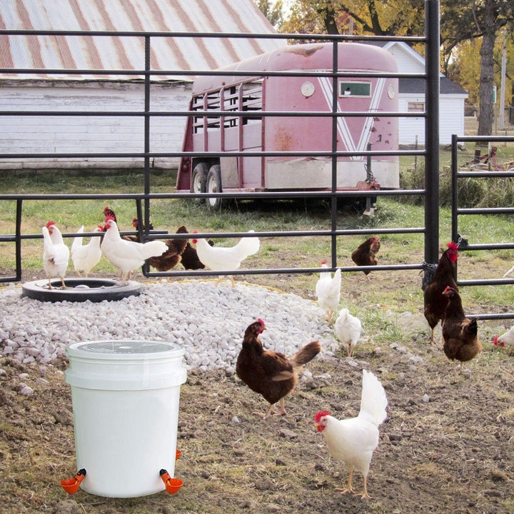 20-Pack: Chicken Waterer Automatic Drinker Image 11