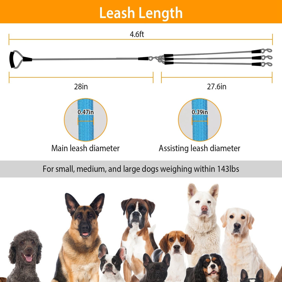 3 Dog Leash Traction Rope Walking Training Lead with Padded Handle Image 6