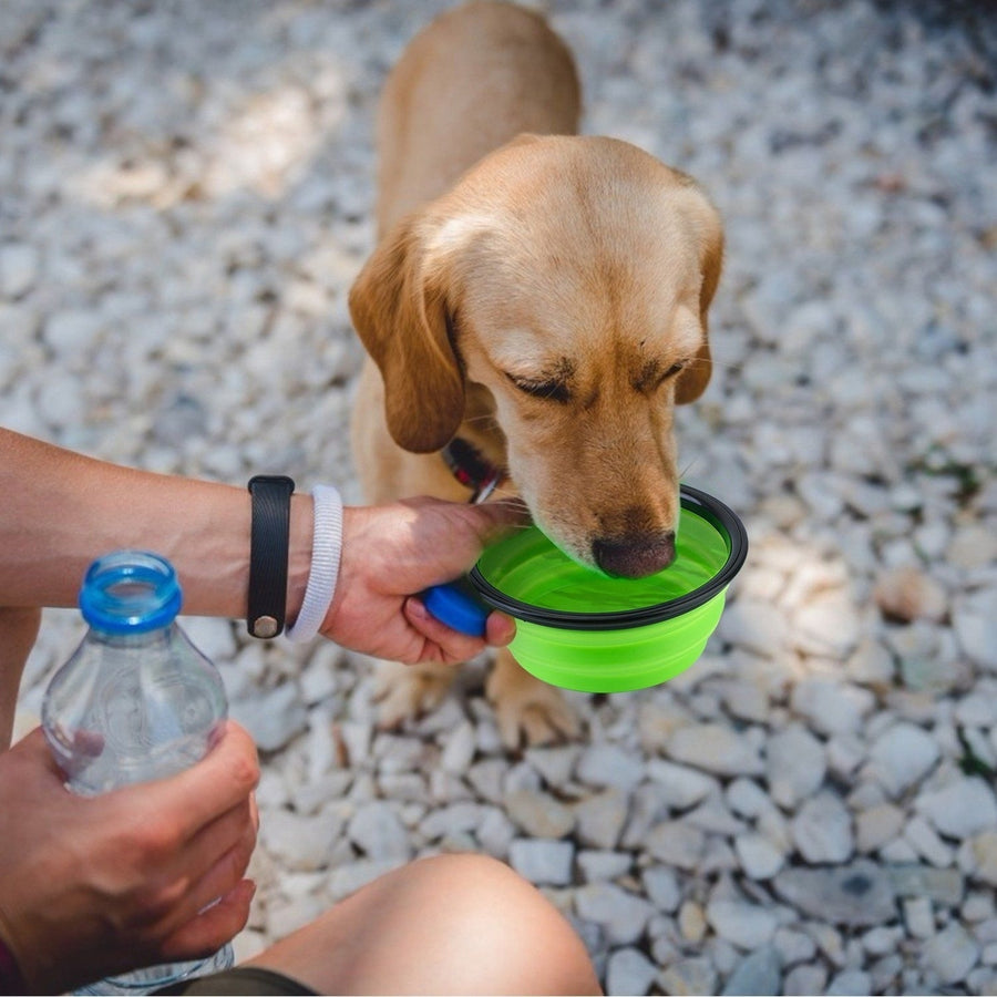 4-Pack: Silicone Collapsible Dog or Cat Food Water Bowl Image 1