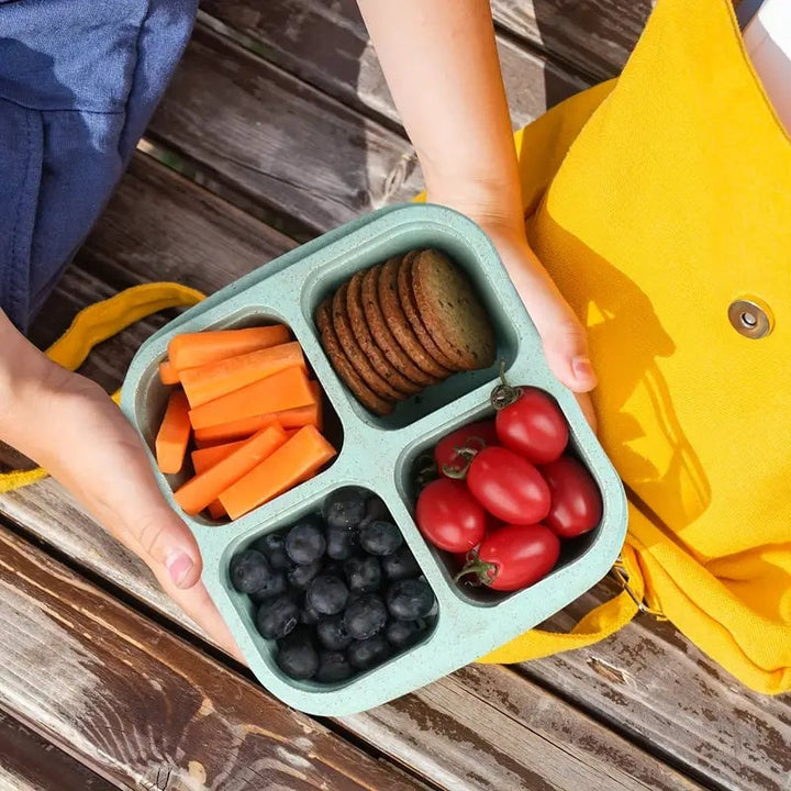 4-Pack: Snack Container With 4 Compartments Divided Bento Lunch Box With Transparent Lids Image 11