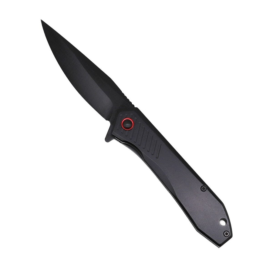 4.5" Spring Assisted Knife Image 1