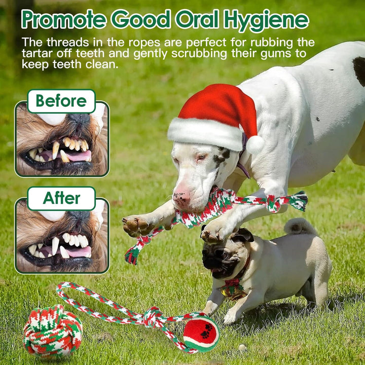 5-Pieces: Christmas Dog Rope Chew Toys Image 6