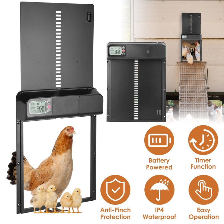 Automatic Chicken Coop Door with Timer Setting Image 4