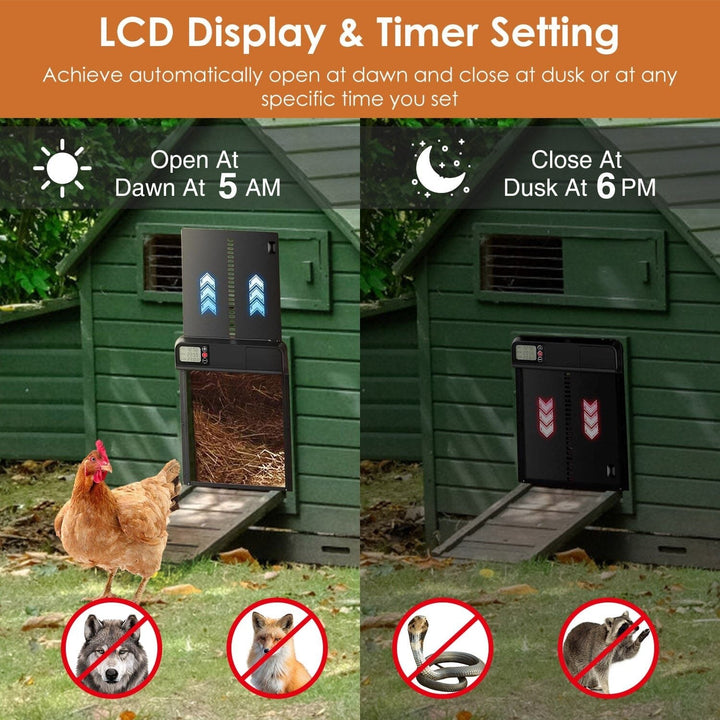 Automatic Chicken Coop Door with Timer Setting Image 6