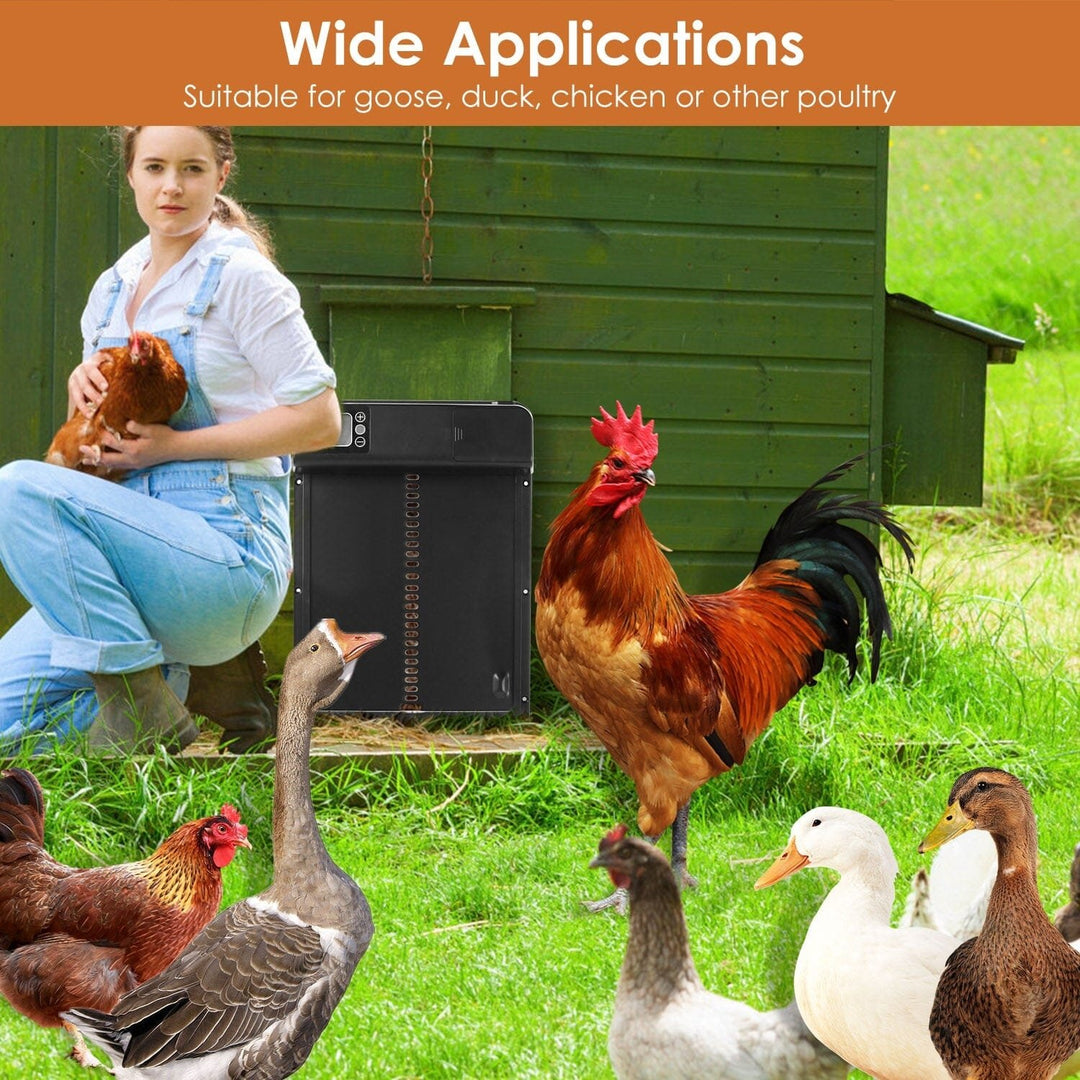 Automatic Chicken Coop Door with Timer Setting Image 8