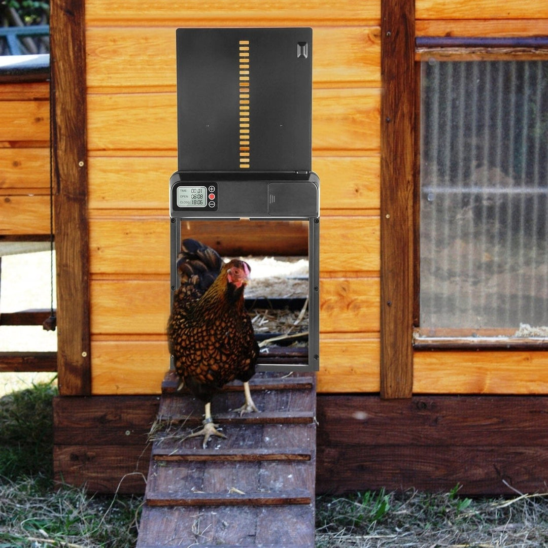 Automatic Chicken Coop Door with Timer Setting Image 10