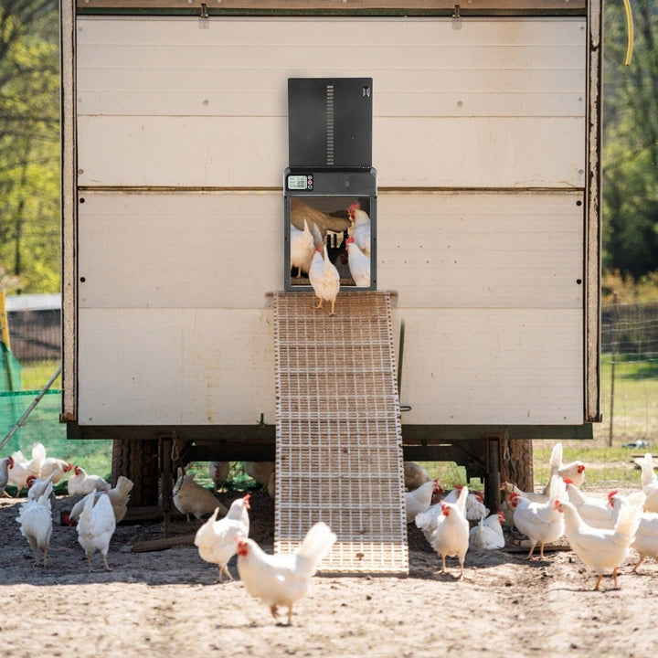 Automatic Chicken Coop Door with Timer Setting Image 11