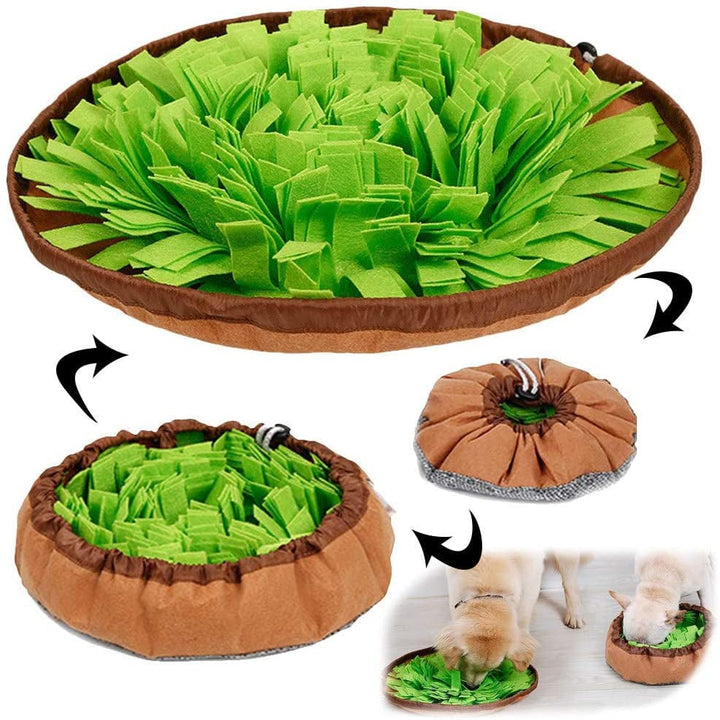 AWOOF Pet Snuffle Mat for Dogs Image 1