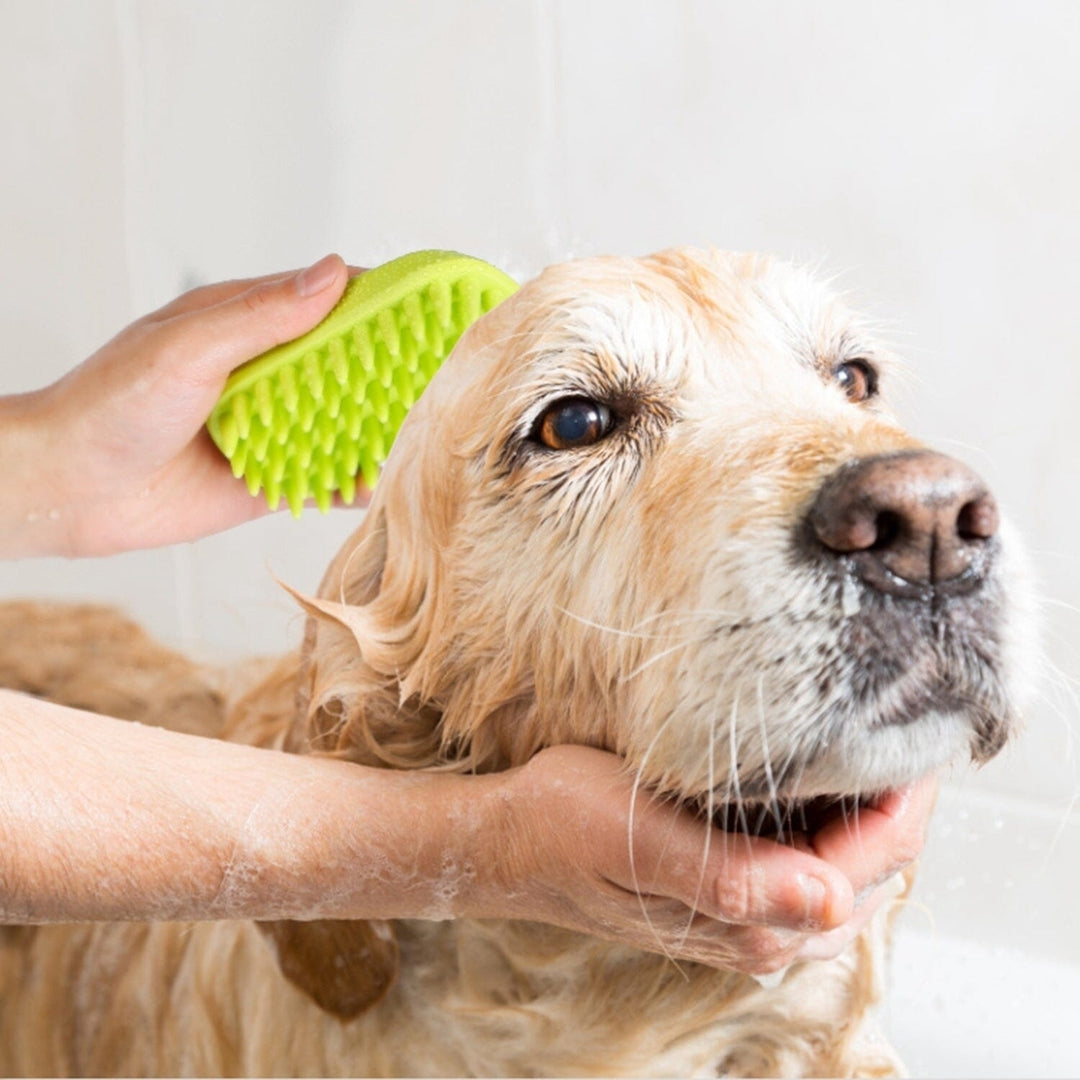 Dog Bath Brush Anti-Skid Pet Grooming Shower Silicone Massage Comb Image 11