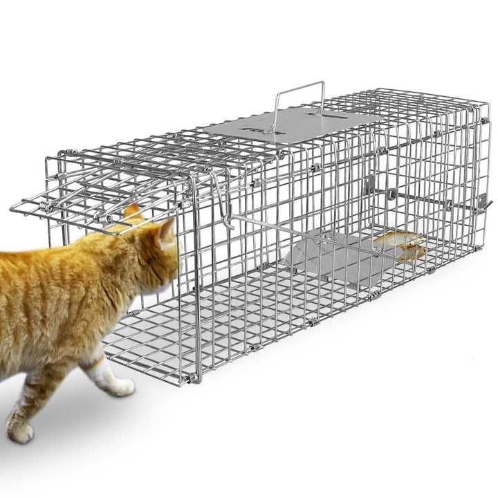 Humane Live Animal Rodent Cage Collapsible Galvanized Wire Image 3