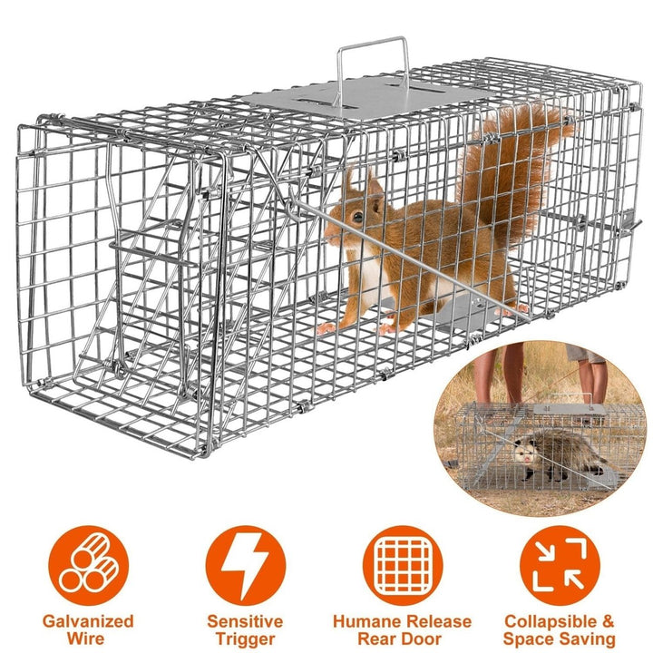 Humane Live Animal Rodent Cage Collapsible Galvanized Wire Image 4