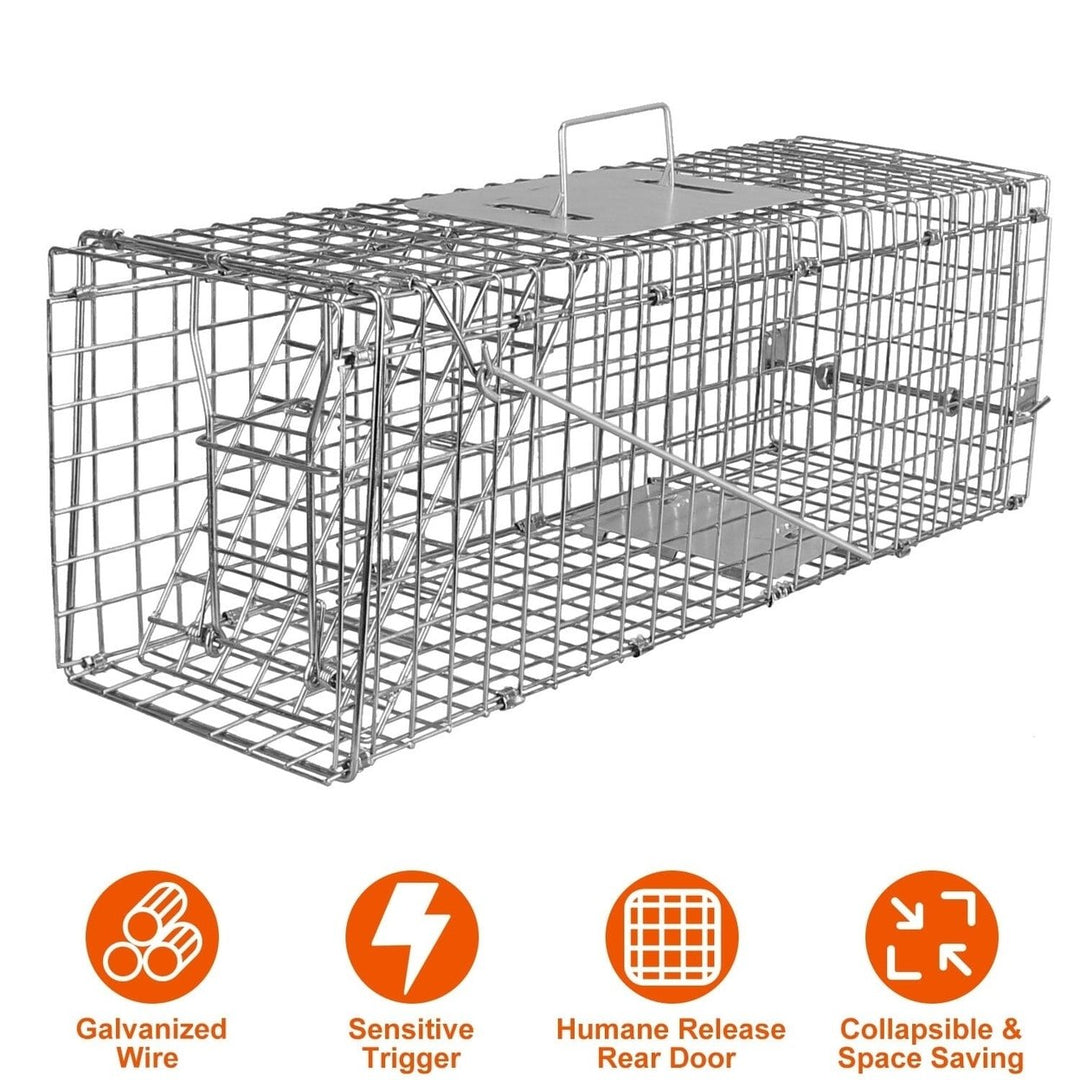 Humane Live Animal Rodent Cage Collapsible Galvanized Wire Image 4