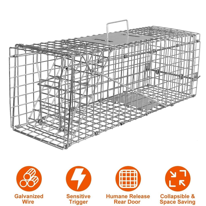 Humane Live Animal Rodent Cage Collapsible Galvanized Wire Image 4