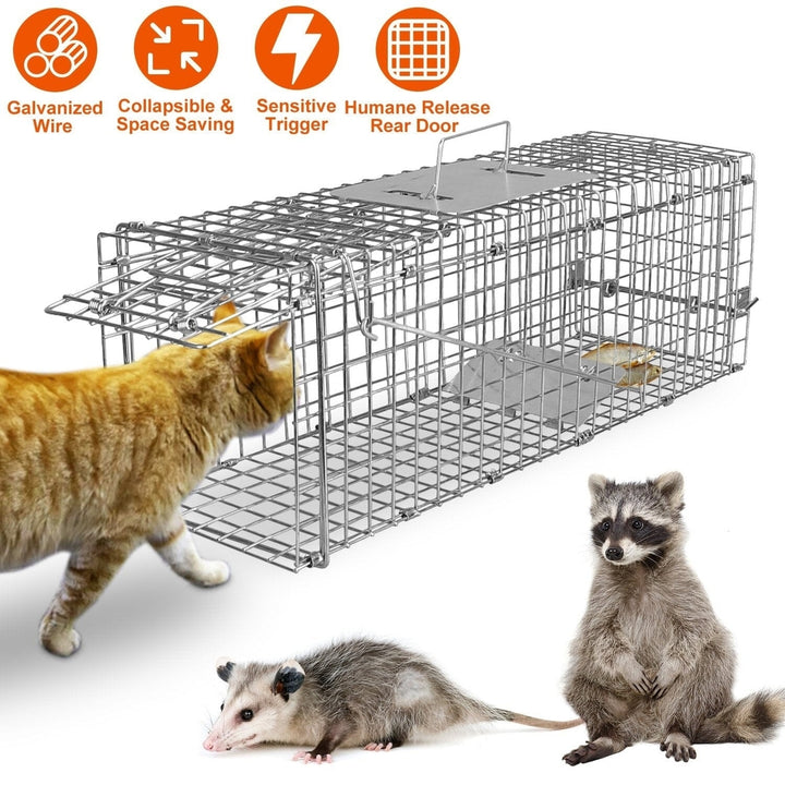 Humane Live Animal Rodent Cage Collapsible Galvanized Wire Image 6