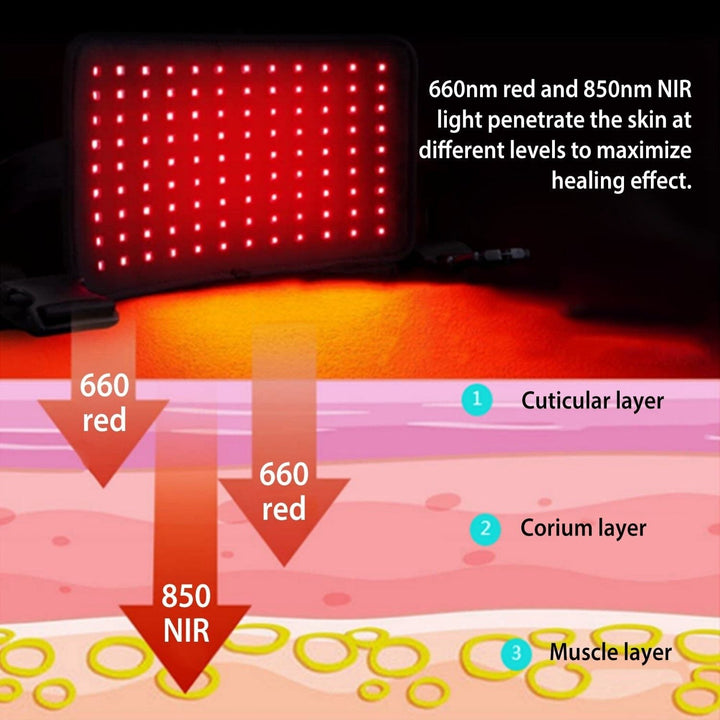 LED Red Light Therapy Belt Image 9