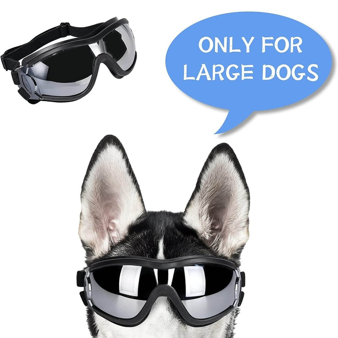 NVTED Dog Sunglasses with Adjustable Strap for Medium or Large Dog Image 2