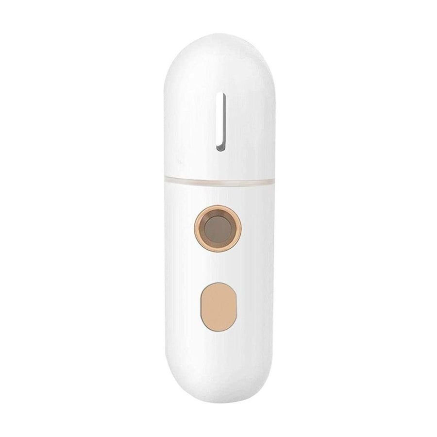 Portable Mini Face Steamer Image 1