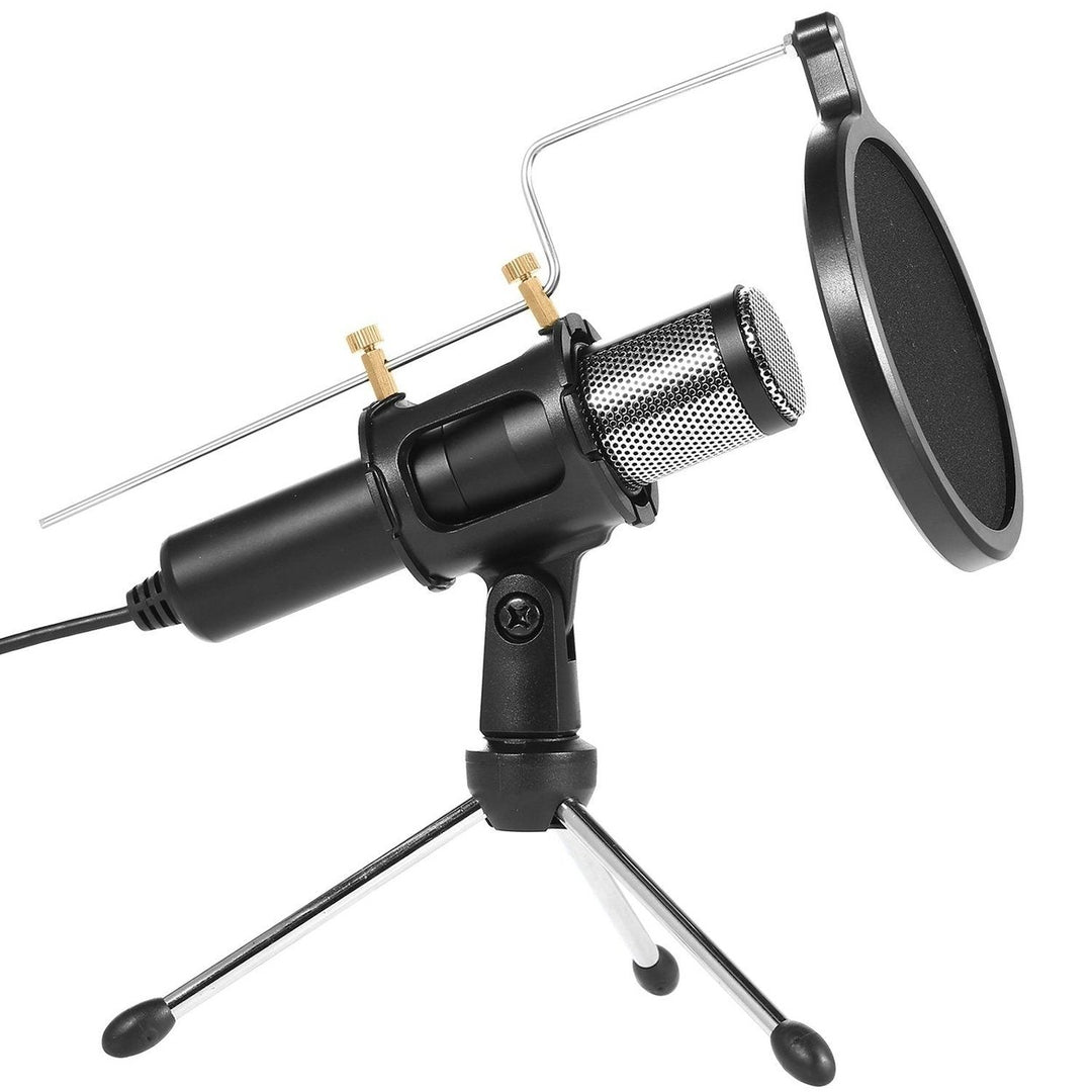 Professional Condenser Studio Recording Microphone Image 1