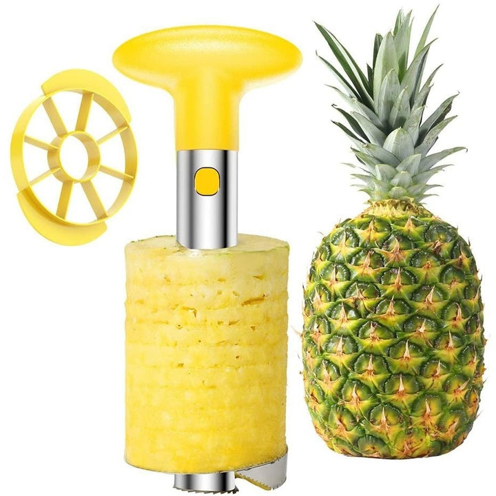 SameTech Easy Kitchen Tool Stainless Steel Fruit Pineapple Peeler Corer Slicer Cutter Image 1