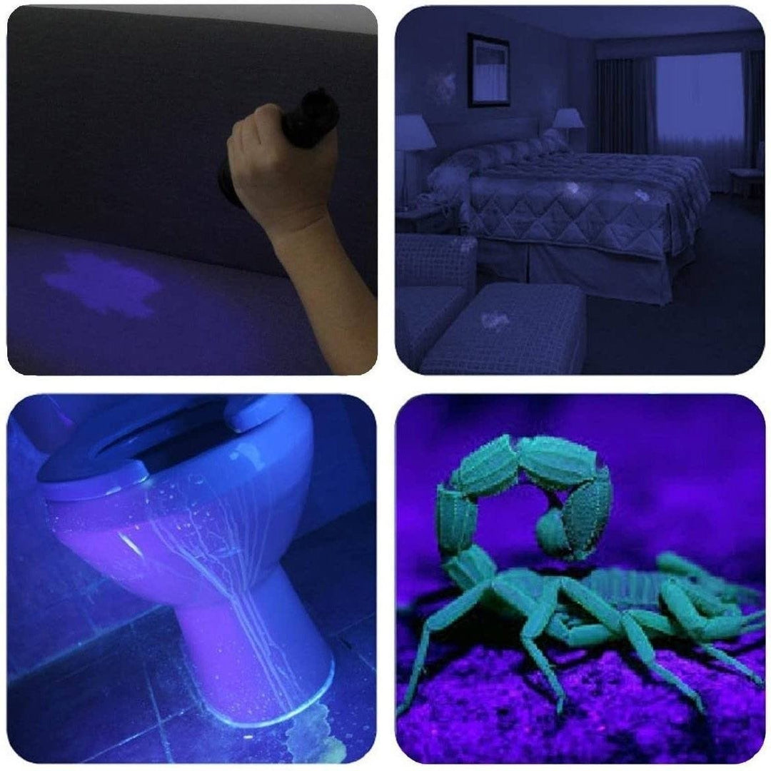 UV Flashlight Black Light Image 4