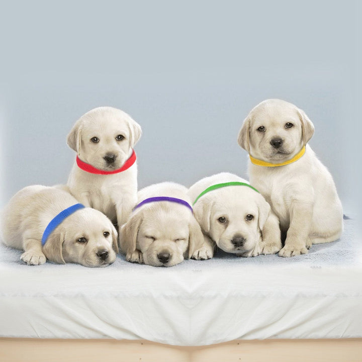 12-Piece: Whelping ID Collars Color Set Image 1