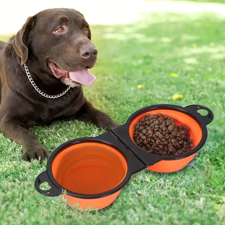 2-in-1 Collapsible Double Dog Bowl Image 1