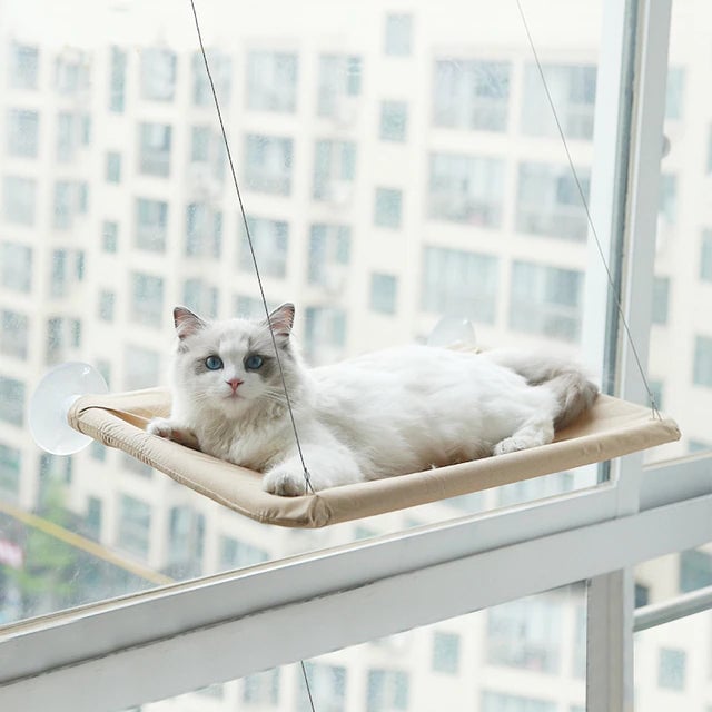 360  Cat Window Hammock: A Space-Saving Sunny Seat for Indoor Cats! Image 1