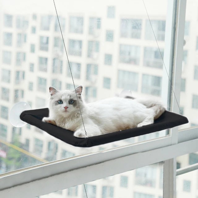 360  Cat Window Hammock: A Space-Saving Sunny Seat for Indoor Cats! Image 1