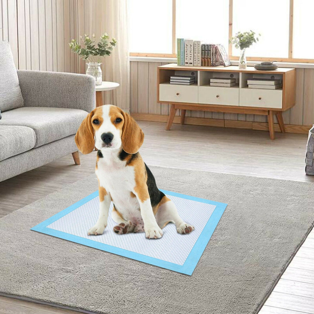 30-Piece: Ownpets Pet Dog Training Pads Image 4