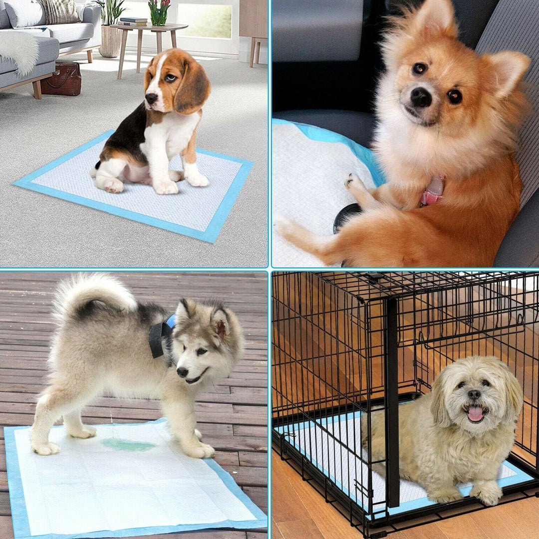 30-Piece: Ownpets Pet Dog Training Pads Image 4