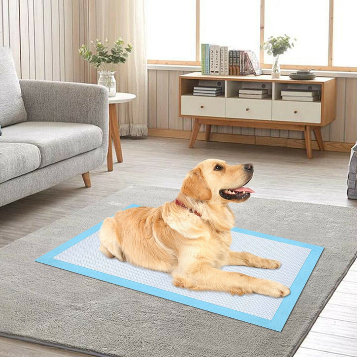 30-Piece: Ownpets Pet Dog Training Pads Image 7