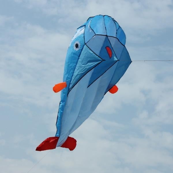 3D Kite Frameless Soft Giant and Parafoil Image 4