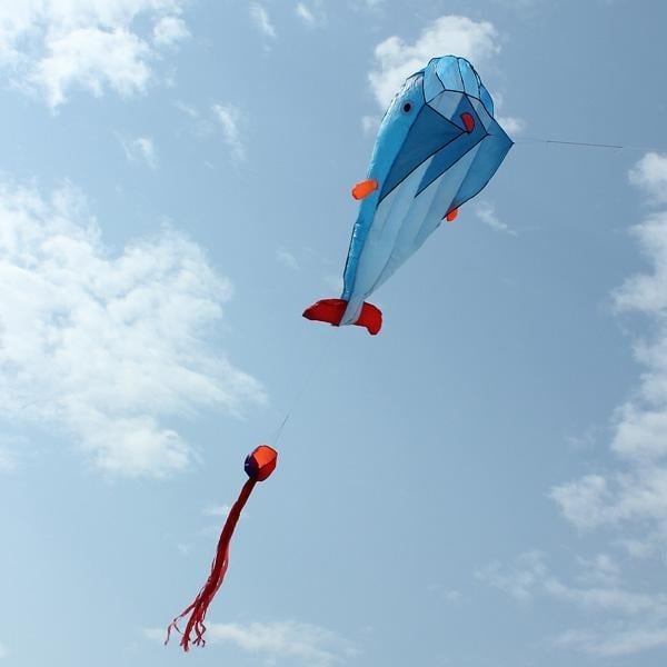 3D Kite Frameless Soft Giant and Parafoil Image 4